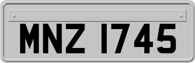 MNZ1745