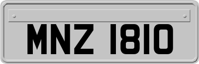MNZ1810