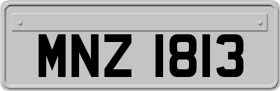 MNZ1813