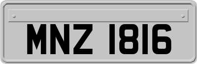 MNZ1816