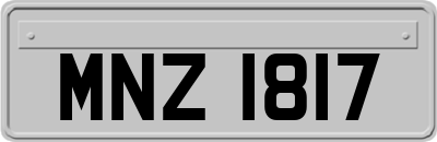 MNZ1817