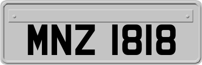 MNZ1818