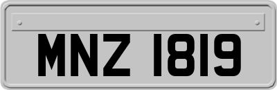 MNZ1819