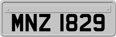 MNZ1829