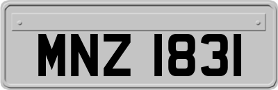 MNZ1831