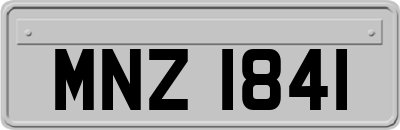 MNZ1841