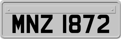 MNZ1872