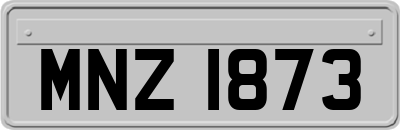 MNZ1873