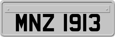 MNZ1913