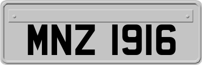 MNZ1916