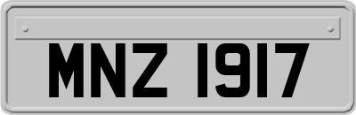 MNZ1917