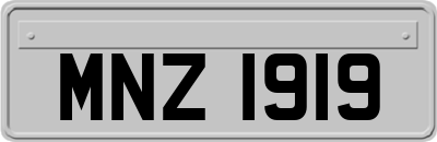 MNZ1919