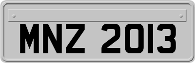 MNZ2013