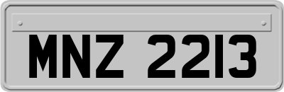 MNZ2213