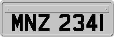 MNZ2341