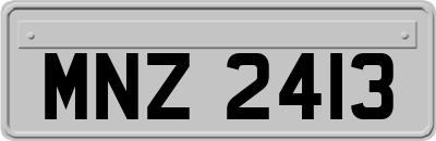 MNZ2413