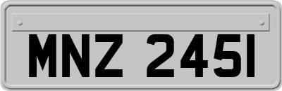 MNZ2451