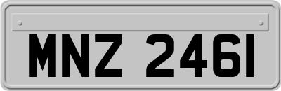 MNZ2461