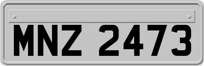 MNZ2473