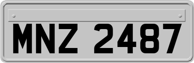MNZ2487
