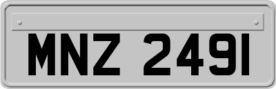 MNZ2491