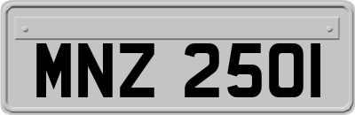 MNZ2501
