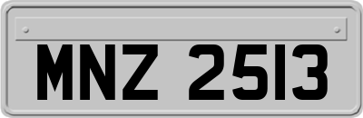 MNZ2513