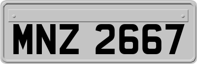 MNZ2667
