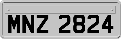 MNZ2824