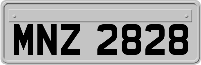 MNZ2828