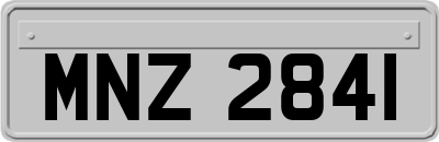 MNZ2841