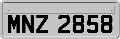 MNZ2858