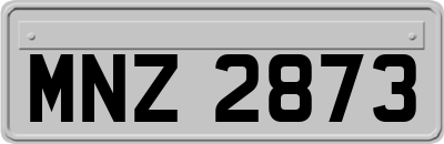 MNZ2873