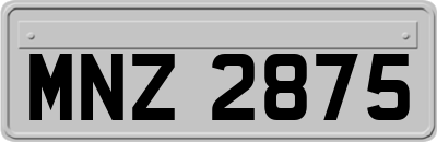 MNZ2875