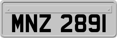 MNZ2891