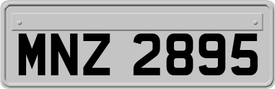 MNZ2895