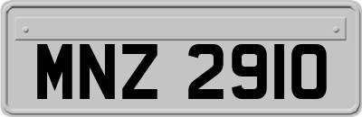 MNZ2910