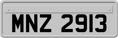 MNZ2913