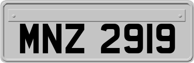MNZ2919