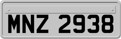 MNZ2938