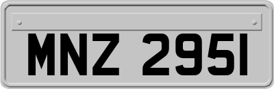 MNZ2951