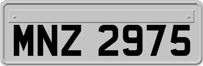MNZ2975