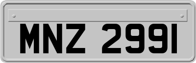 MNZ2991