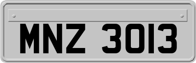MNZ3013