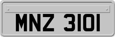 MNZ3101