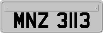 MNZ3113