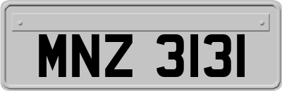 MNZ3131