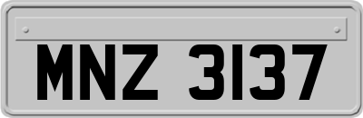 MNZ3137