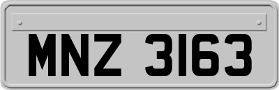 MNZ3163
