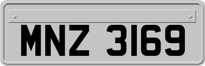 MNZ3169